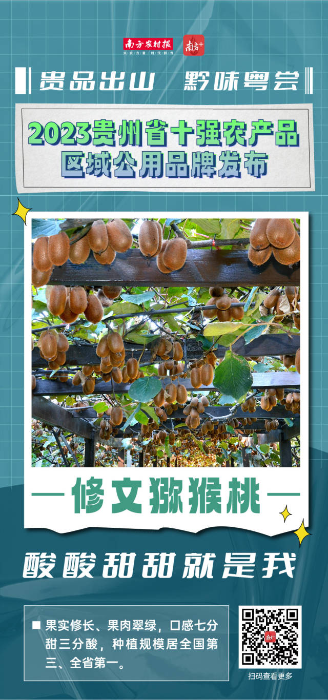 2023年贵州省十强农产品区域公用品牌热辣出炉。