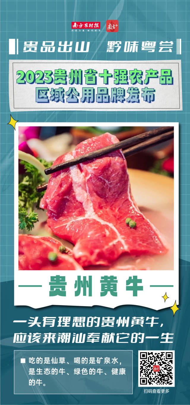 2023年贵州省十强农产品区域公用品牌热辣出炉。