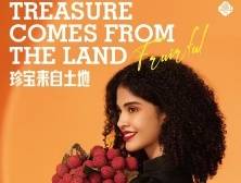 太酷啦！在南非“黄金之城”寻宝广东荔枝