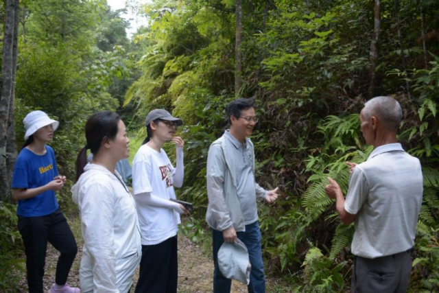 隊(duì)伍深入山林，了解蜜源植物種類(lèi),。