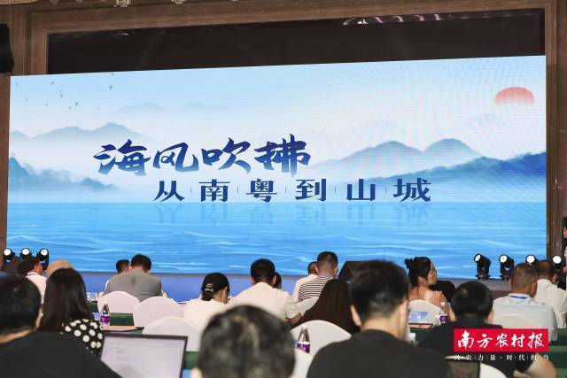 南方农村报 李思敏 拍摄