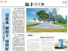 引进来 留得下 用得好 | 速览《南方日报·陆丰视窗》第14期