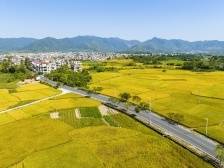 李小云：让农民在全面振兴中享受更体面的生活｜“百千万工程”·高端访谈