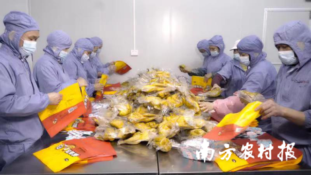 南甄食品员工封装盐焗鸡产品。