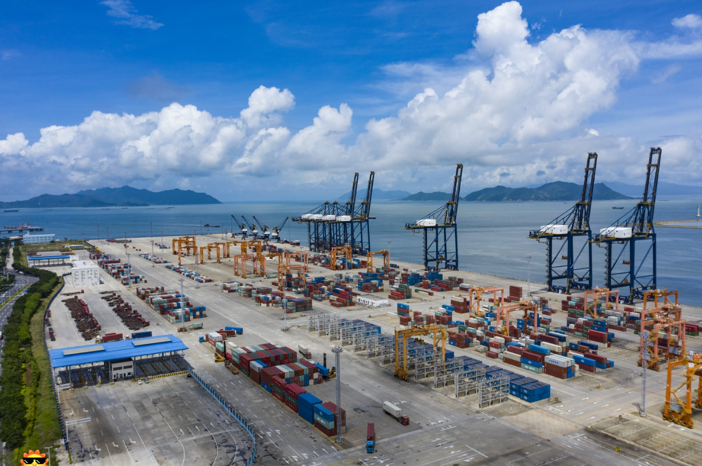 今年上半年,空海“双港”强势回升,助力金湾区外贸回暖。 南方+ 关铭荣 拍摄