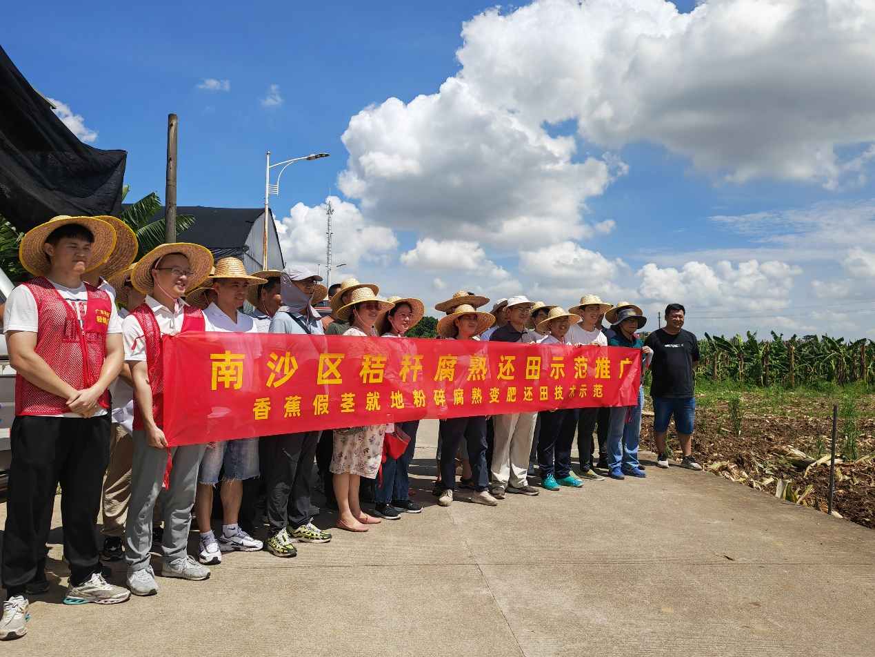 香蕉假茎就地粉碎促腐变肥还田技术示范现场