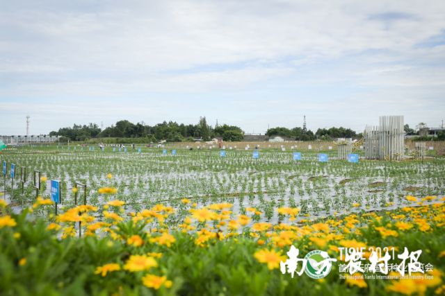 受訪者供圖