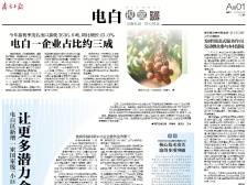 让更多潜力企业长成“小巨人”| 速览《南方日报·电白视窗》132期