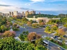 打破“城见”，增城距离“中心”有多远？｜增江时评