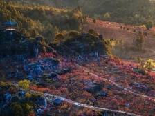 我的乡村我的家