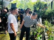 南沙榄核：一株兰花如何助力乡村振兴？