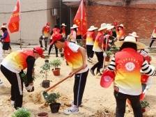 乡村振兴一线来了青春力量！吴川“志愿红”为乡村添绿增美