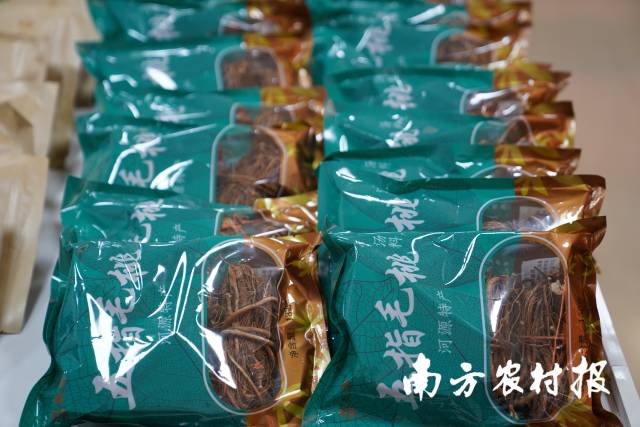 河源特产——五指毛桃