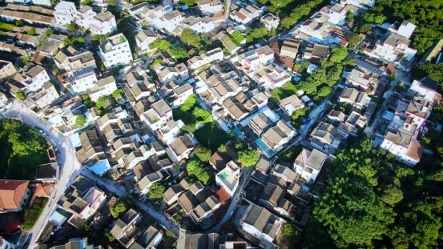 南方+视频｜康公宝诞聚侨胞，微光成炬建虎逊