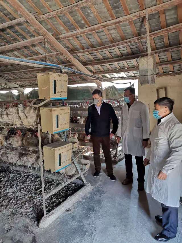 黄凯华（右二）开展工作