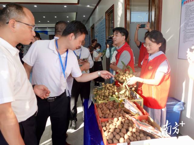 南方农村报 惠婷婷 拍摄