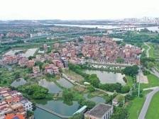 下安村振兴记：鱼苗从这里游向全国