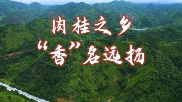 肉桂之乡，“香”名远扬