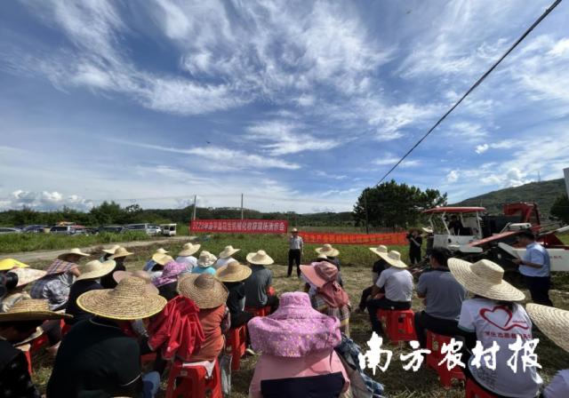 南方農(nóng)村報 陳靜 拍攝