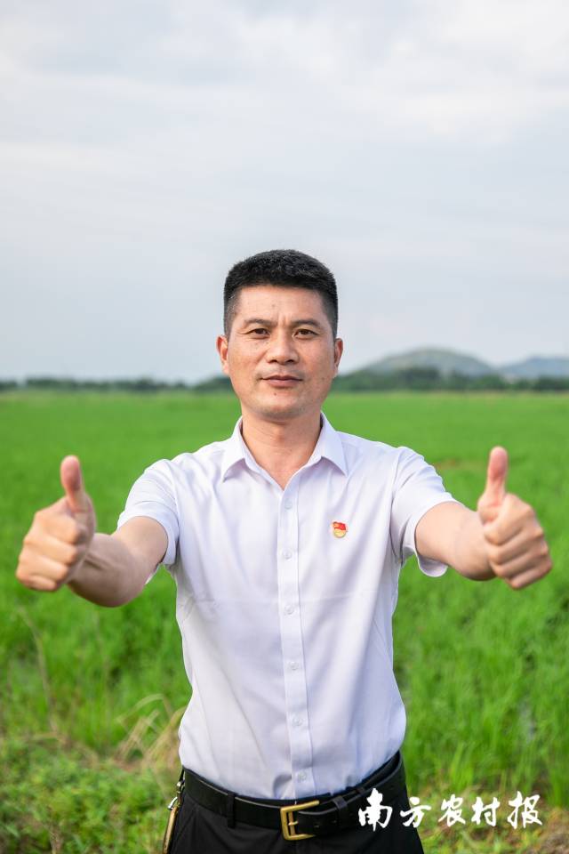 如今，棉湖鎮(zhèn)水稻產(chǎn)業(yè)園正如期快速推進