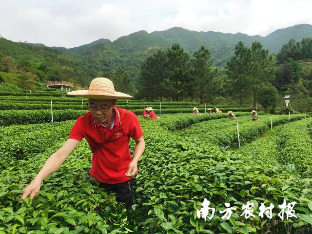 如今,，他也是廣東省鄉(xiāng)土專家