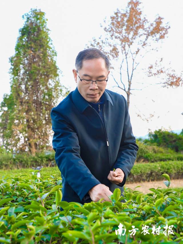 梁小汕,，也是大沙茶第四代非遺傳承人之一