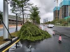 南沙黄阁：12345热线聚焦民生热点纾民困