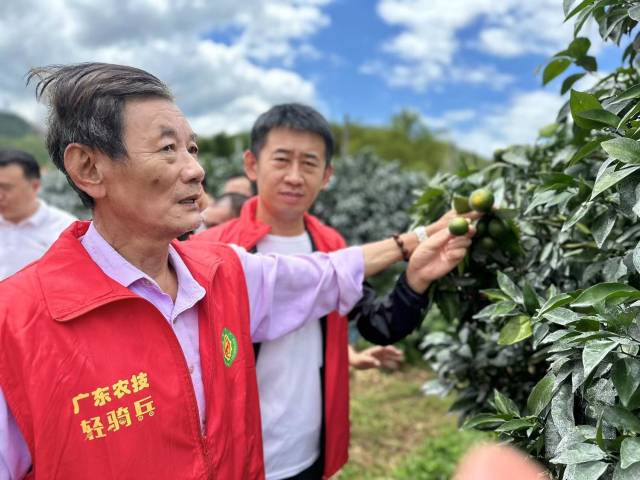 肖文潮正在与专家团队交流