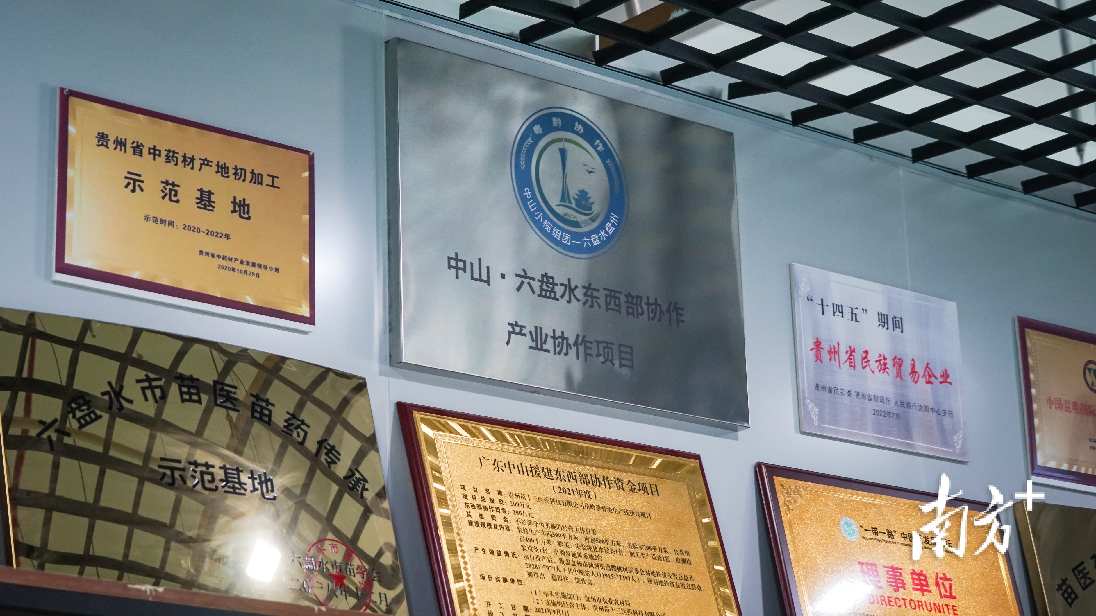 中山为贵州苗十三医药科技有限公司援建了两条生产线，年产值可达上亿元。  南方+ 李姗恒 拍摄
