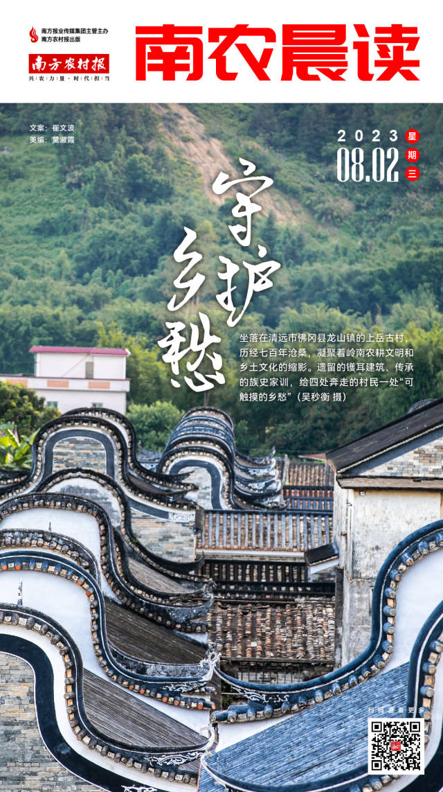 南农晨读｜守护乡愁