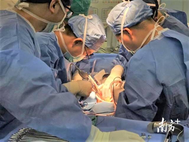 紧张手术中。  受访者供图