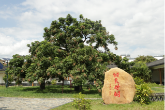 受訪者供圖