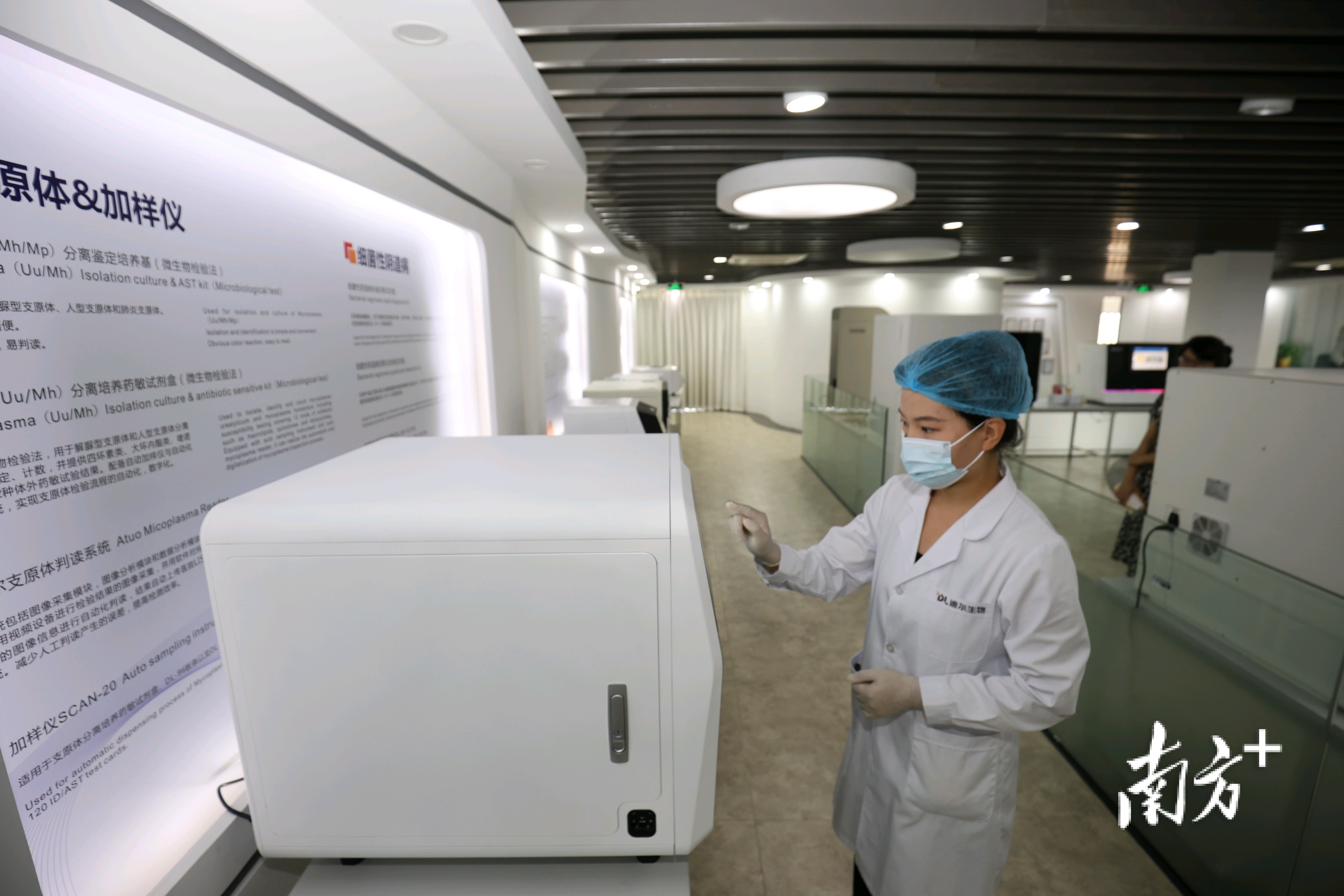 以临床微生物诊断产品作为主要业务，迪尔生物是典型的细分领域里的佼佼者。&nbsp;