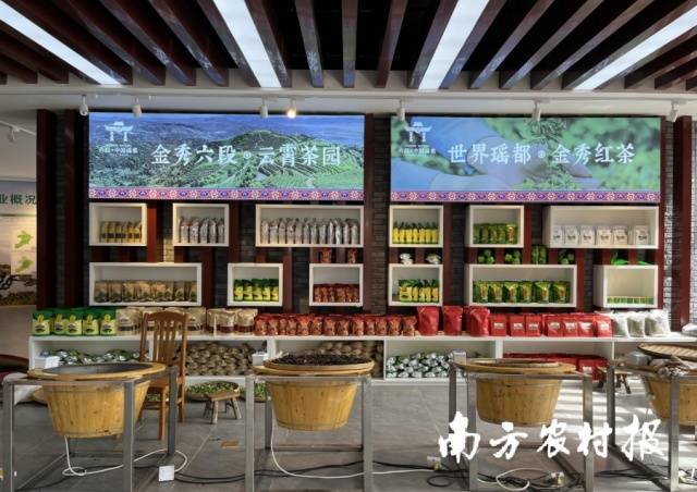 金秀镇六段村茶旅经济产业园