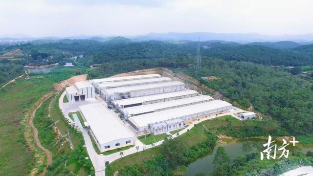 从化壹号蛋鸡产业园