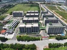 精塑城市“组件”，南沙珠江街发力“百千万工程”