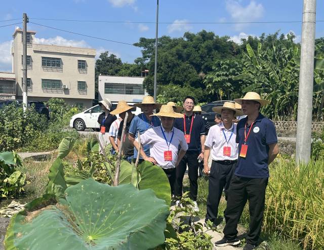 △7月12日,韶关市武江区人大常委会组织人大代表调研蔬菜种植基地。 △7月12日,韶关市武江区人大常委会组织人大代表调研蔬菜种植基地。