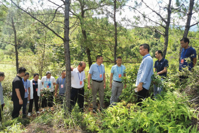 △7月13日,韶关南雄市雄州街道人大代表开展森林法执法检查。 △7月13日,韶关南雄市雄州街道人大代表开展森林法执法检查。