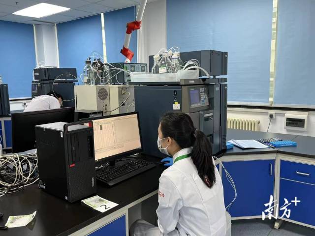 南方农村报 惠婷婷 拍摄