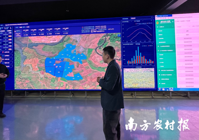 在融安螞蟻農(nóng)業(yè)發(fā)展有限公司云倉,，韋小東通過自動控制設(shè)備監(jiān)測基地生產(chǎn)情況。