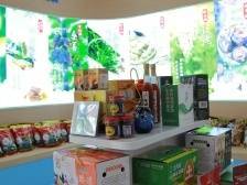 1053个村集体收入超10万元，韶关探索镇村共富新路径