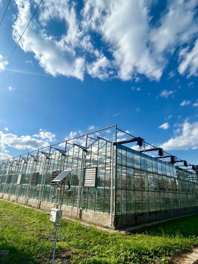 園區(qū)內的神州綠鵬航天育種示范基地