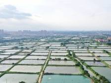 底子薄，更要谋发展！