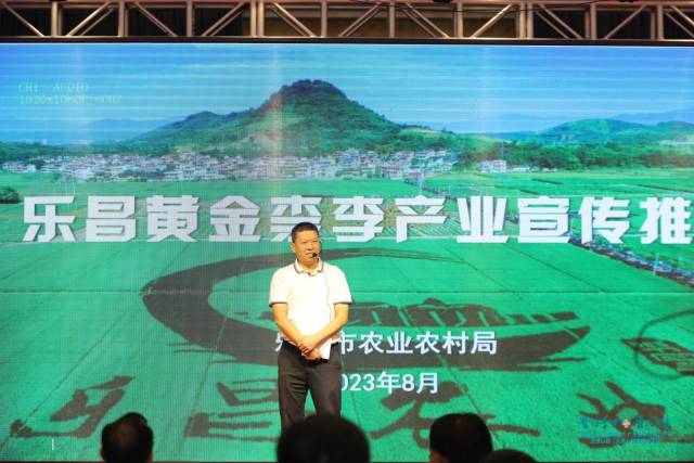 乐昌市农业农村局局长邝贤松推介黄金柰李。