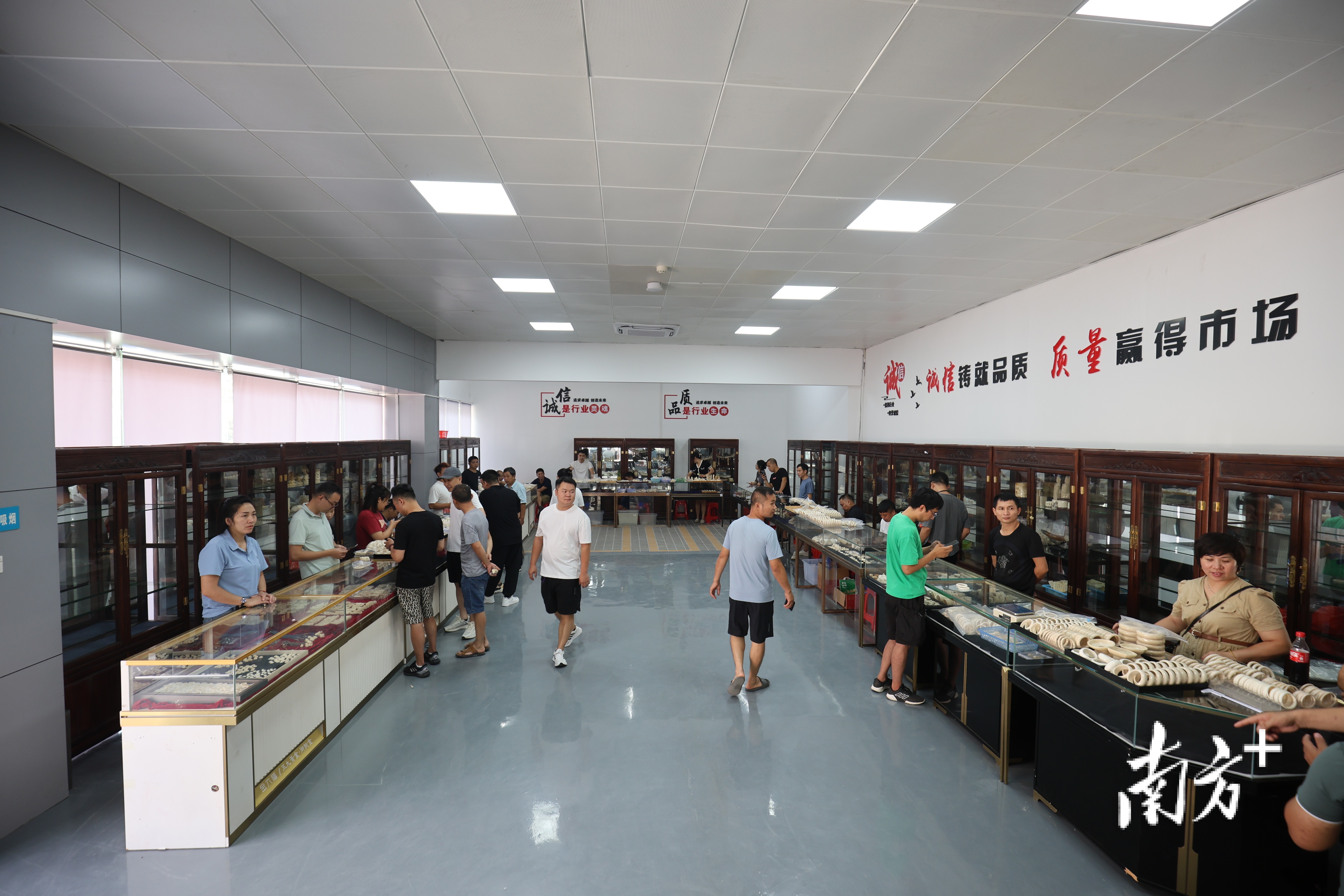 珠海市猛犸象牙交易中心正式开放。 珠海市猛犸象牙交易中心正式开放。