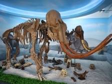 珠海雕刻小镇，上新了！