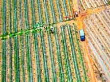 华丽蝶变！吴川以高质量党建解锁“百千万工程”新路径