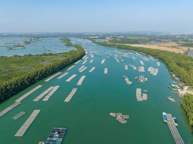 南方农村报 樊静东 制图