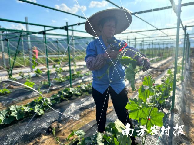 展会基地正在紧张储备中