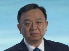 王传福，可以哭了